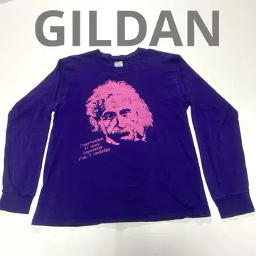 GIlDAN 아인슈타인 롱 T 긴팔 퍼플 빈티지 레어