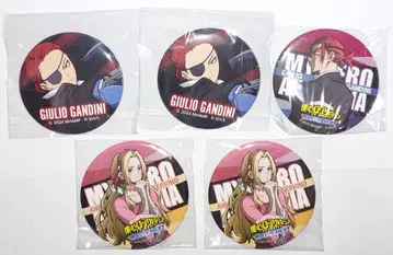 히로아카 유어넥스트 캔뱃지