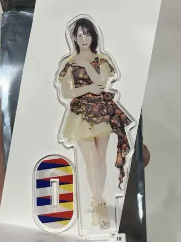 AKB48 나리타 카나 히나 아크릴 스탠드 다이마루 도쿄 아크릴 스탠드