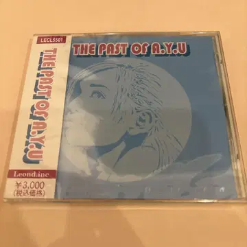 하마사키 아유미/THE PAST OF A.Y.U