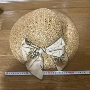 카네코 이사오