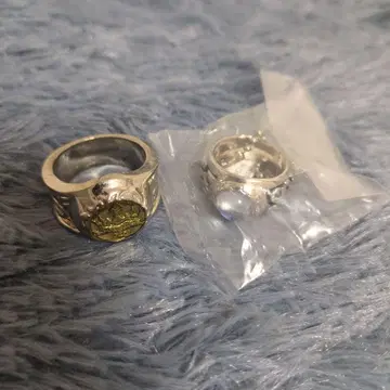 가정교사 히트맨 리본! 대공의 반지