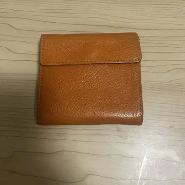 IL BISONTE 지갑