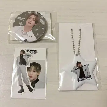 RIIZE 랜덤 토이 앤톤 참 스티커 캔뱃지 랜토이