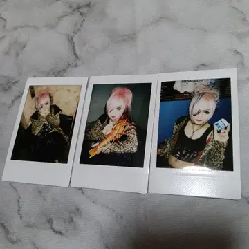 MEJIBRAY 코이치 폴라로이드