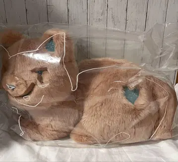 요네즈켄시 리이슈 고양이 그랑데 테라코타