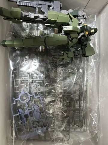 1/100 그레이즈