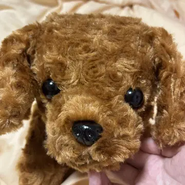 브라운 봉제 인형