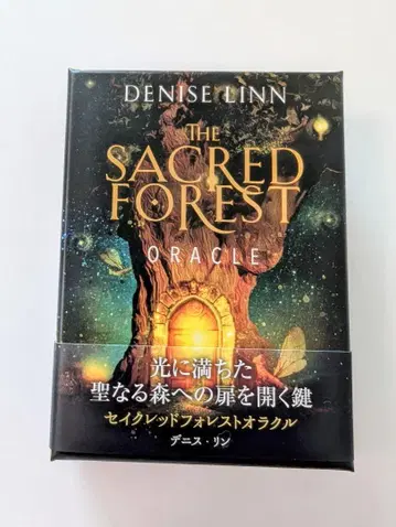 세이크리드 포레스트 오라클