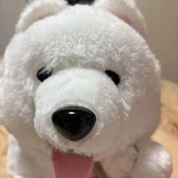 사모에드 봉제 인형