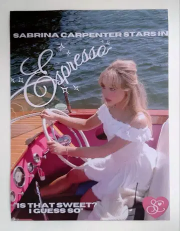 Sabrina Carpenter 사브리나 카펜터 포스터 스티커