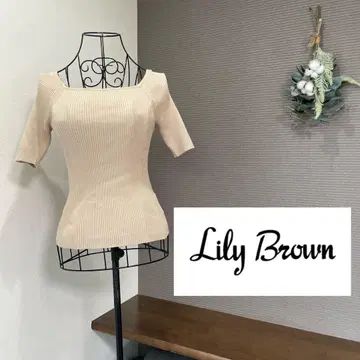 Lily Brown 릴리 브라운 반팔 니트 백 레이스
