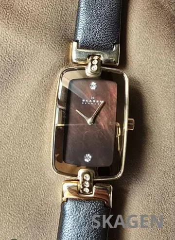 SKAGEN Hiromichi Konno 손목시계 작동 중