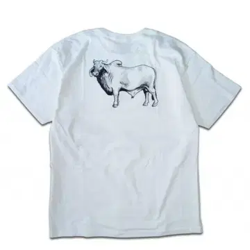 초희귀! ANTI HERO - COW BACKSIDE 티셔츠