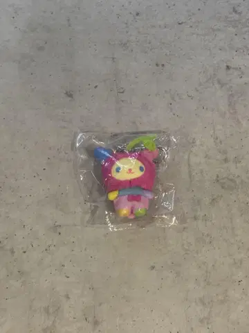 조금만 꽃 과일