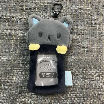 피하이 트레이딩 카드 케이스