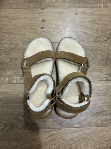 허리케인 샤링