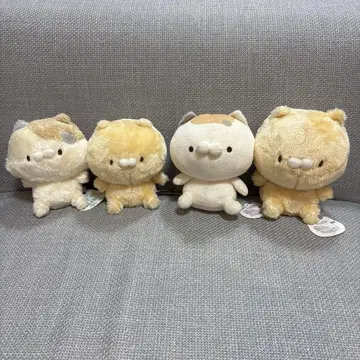 옆집 냥코 쵸코린 봉제 인형