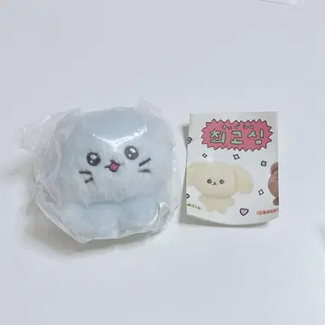 체고심 가챠가챠 봉제 인형 키링 고양이 고심