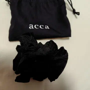 acca 스크런치