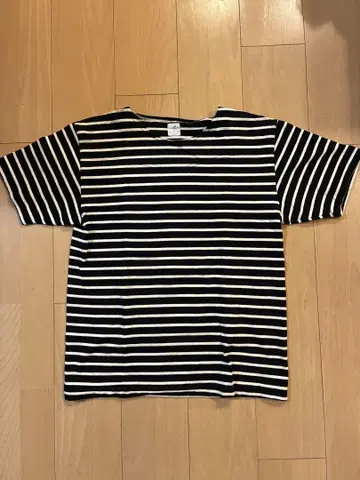 anatomica 아나토미카