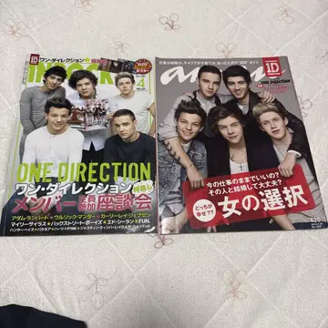 원 디렉션 ONE DIRECTION anan