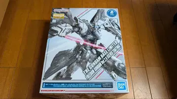 MG 프리덤 건담 VER.2.0 실버 코팅