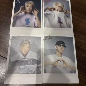 ADLV 세븐틴 HOSHI