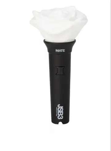 3대째 JSOUL BROTHERS 응원봉