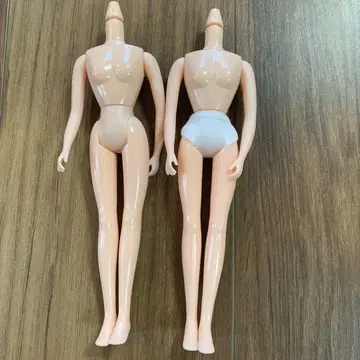 리카짱 일본제 캐슬 리카짱 바디 바디 2점