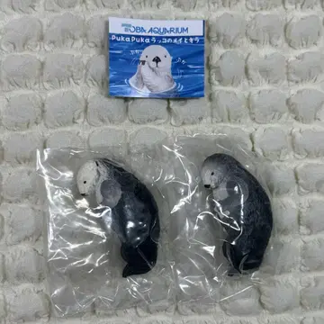 도바 수족관 PukaPuka 랏코의 메이랑 키라 가챠가챠