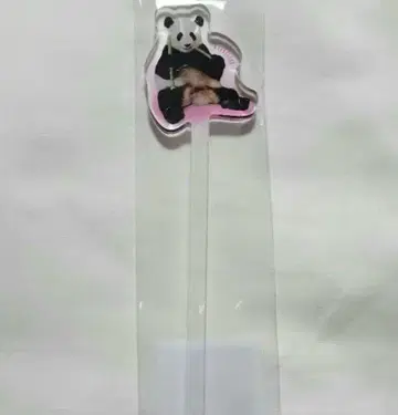 어드벤처 월드 팬더 마들러 유이하마
