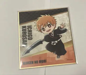 BLEACH 니지겐노모리 쿠로사키 이치고 색지