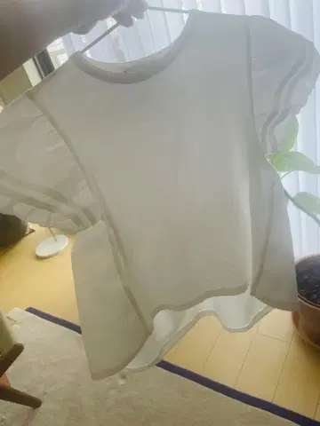 yokochan 페플럼 절개 컷 티셔츠 반팔 티셔츠