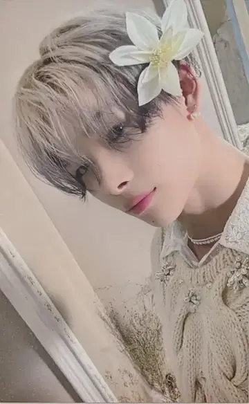 ENHYPEN UMS LD NIKI 오렌지 블러드 1