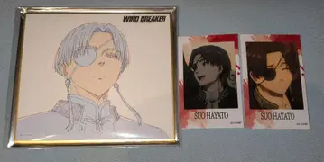 윈드 브레이커 윈블레 소장 TSUTAYA