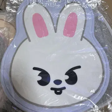 SKZOO Lee 비트 카펫