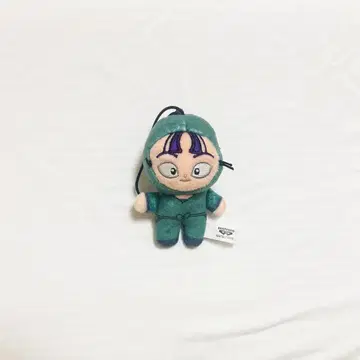 닌자 타마 란타로 호와누이 다치바나 센조