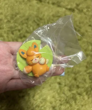 한국 한정판 파모