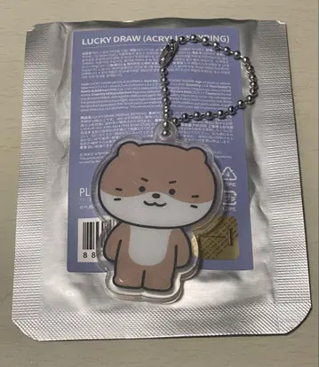 미니 틴 아크릴 키링 디노