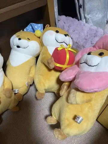 눈짱 봉제 인형 5개 세트