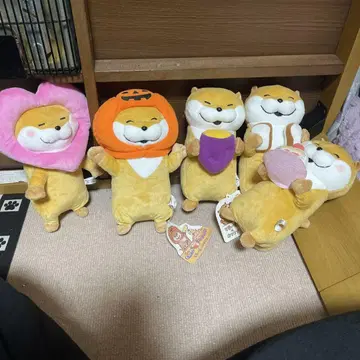 눈짱 봉제 인형 5개 세트