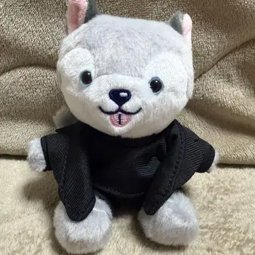 마쓰무라 호쿠토 노킹 온 락 도어 노키도어 봉제 인형 타오리견