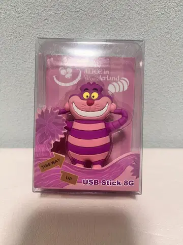 체셔 고양이 USB