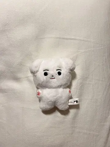 엔하이펜 송훈 미니 인형