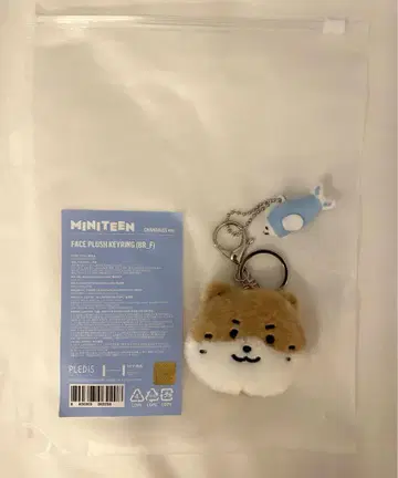 SEVENTEEN 디노 MINITEEN 팝업 키링