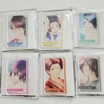 새상품 익명 배송 STORM LOVER 아크릴 키링 6종
