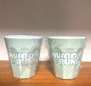 나이누 NA INWOO KUJI 가챠가챠폰 복권 A상 2개 세트