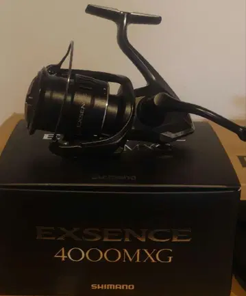 21 엑센스 4000MXG