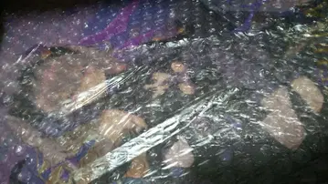 코토부키야 아르카나디아 소피에라 미조립